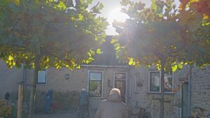 Pflege am Hof, Niederlande, Elisabeth Auer, Demenz.Liebe