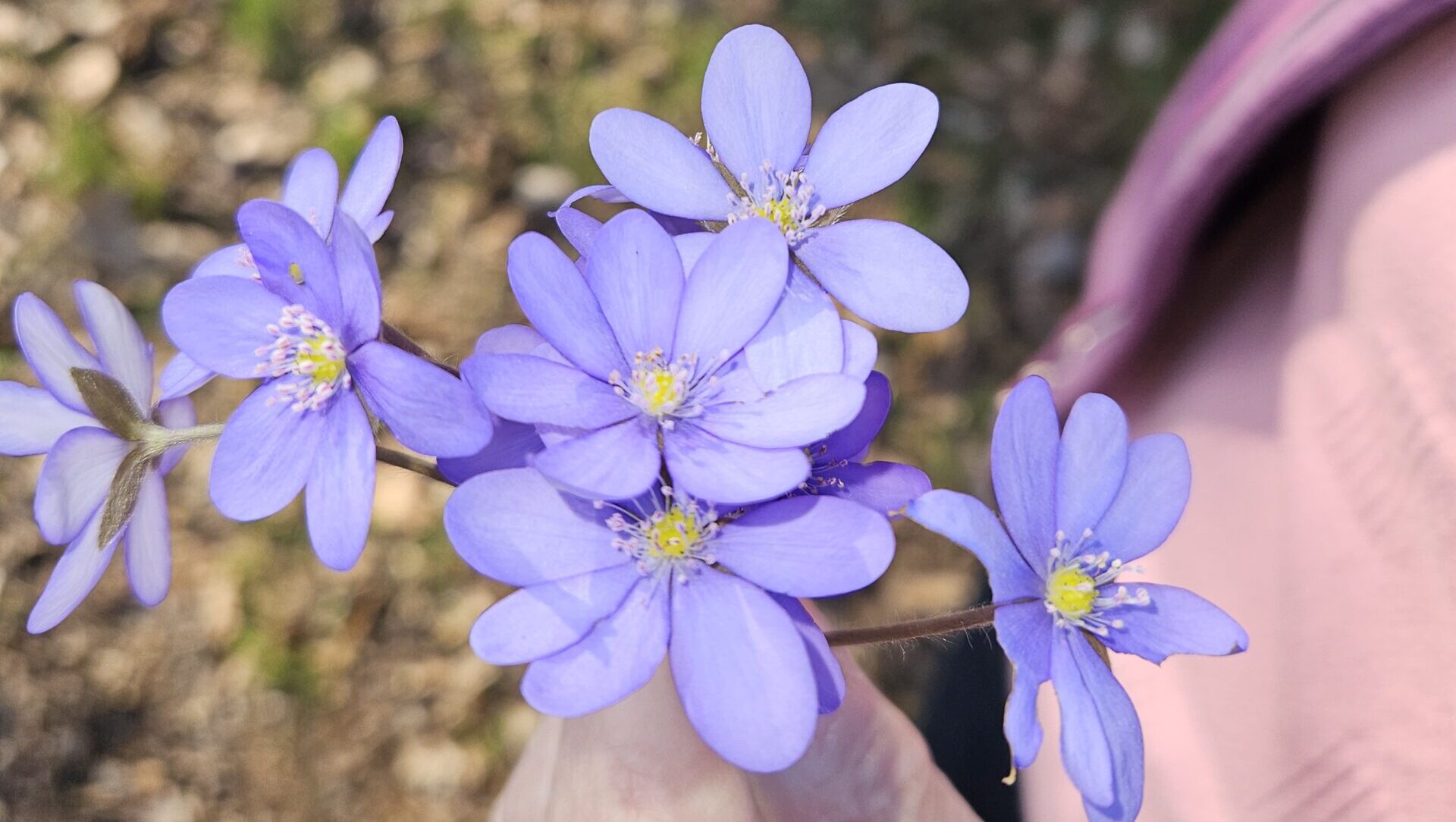 Demenz.Liebe, Empathie,